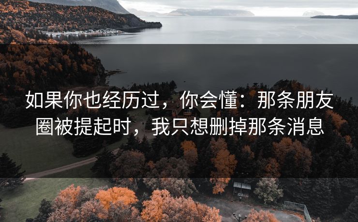 如果你也经历过，你会懂：那条朋友圈被提起时，我只想删掉那条消息